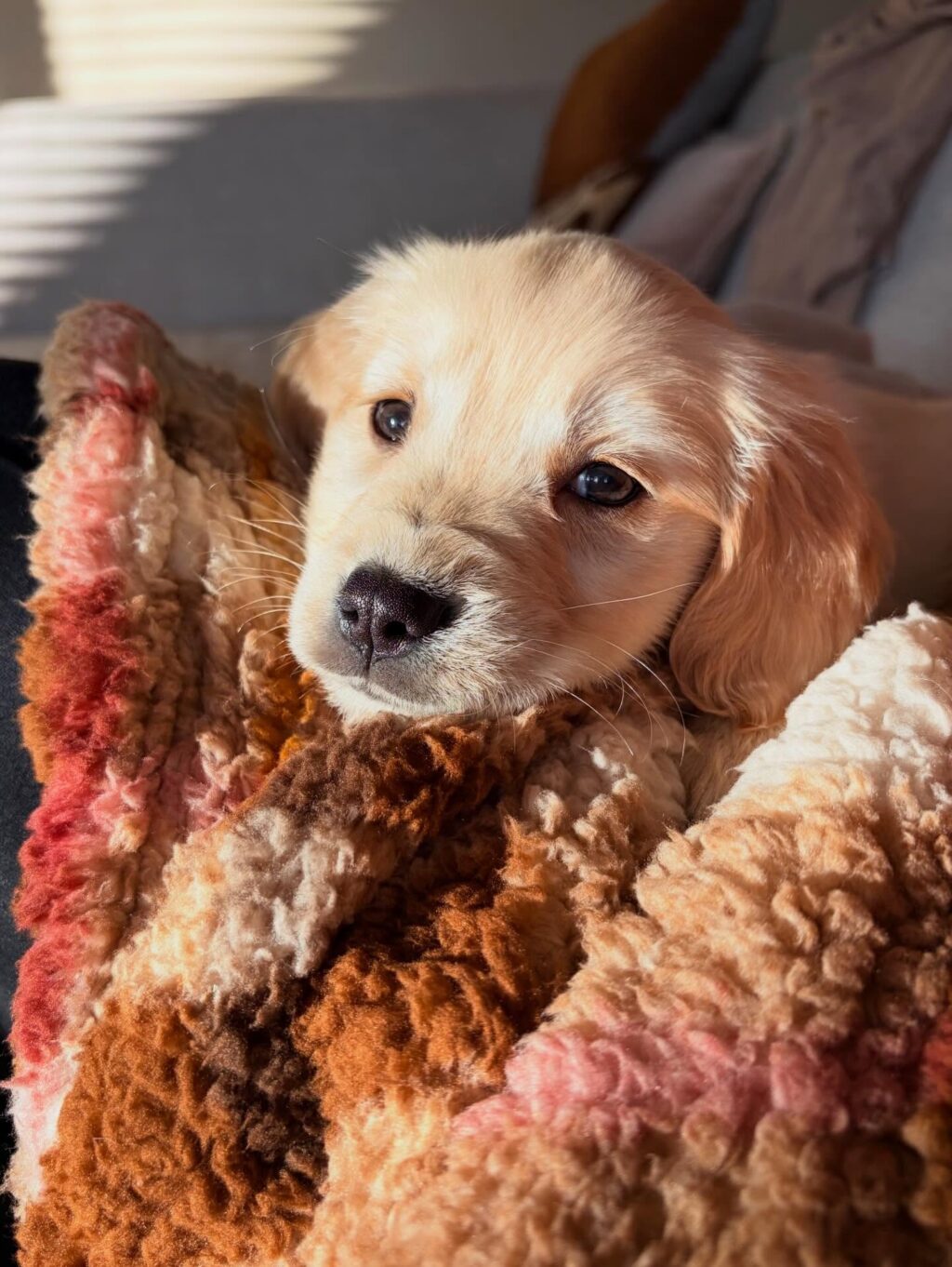 Instagram post from byimke_conceptstore. This post is in position 1.